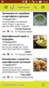 Картошка – рецепты блюд с фото screenshot 10