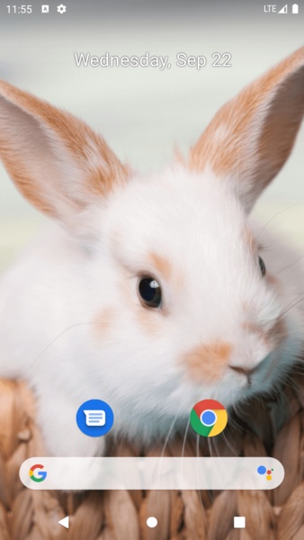 Rabbit Wallpaper - Preview 1