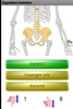 Aprende los huesos screenshot 2