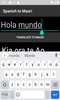 Spanish to Maori Translator screenshot 3