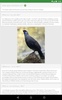Birdlife of New Zealand Free screenshot 1