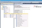 Microsoft SQL Server screenshot 1