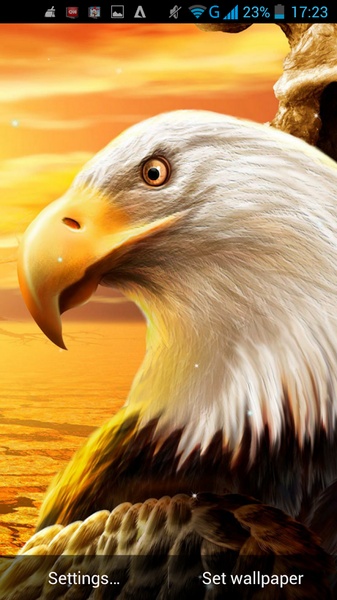 Eagle Live Wallpaper - Preview 6