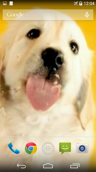 Puppy Licks Screen - Preview 4