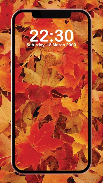Fall Wallpaper 4K - Preview 4