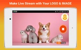 LiLy: Live Stream Game, Camera screenshot 7