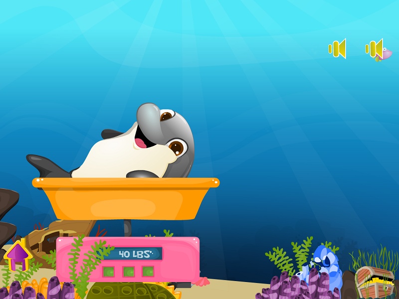 Dolphin Baby Birth - Preview 4