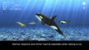 Orca and marine mammals screenshot 7