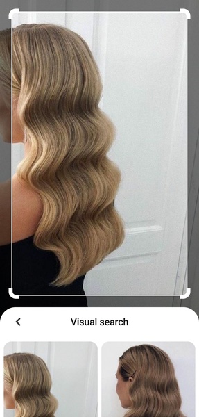 Pinterest Downloader - Preview 13