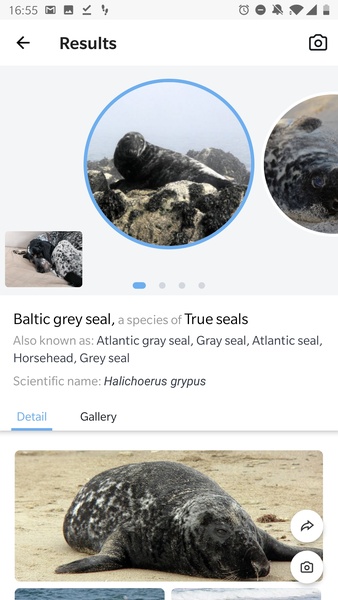 Picture Animal - Animal ID Pro - Preview 2