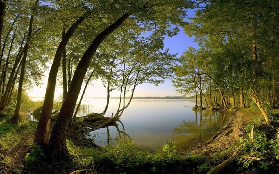 Green Nature HD Wallpaper - Preview 7