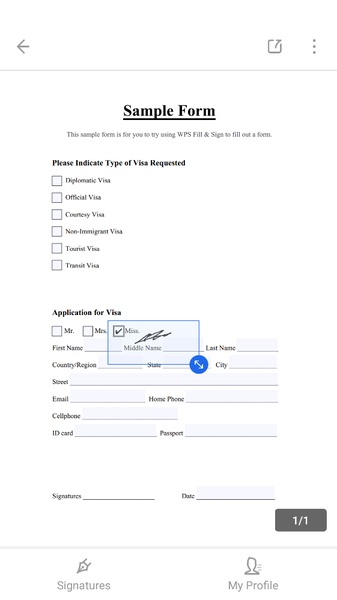 WPS Fill & Sign - Preview 4