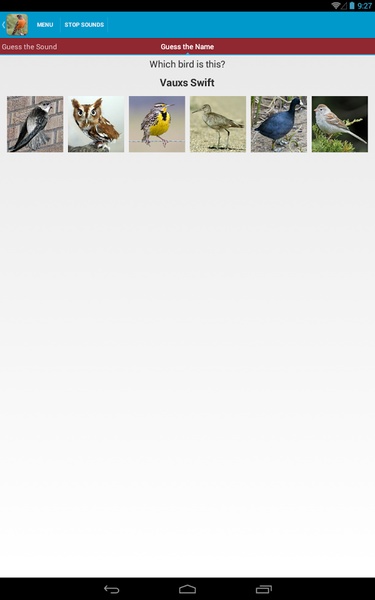 North American Birds Sounds - Preview 11
