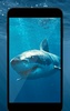 Shark HD Live Wallpaper screenshot 2