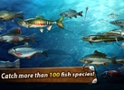 Gone Fishing: Trophy Catch screenshot 12