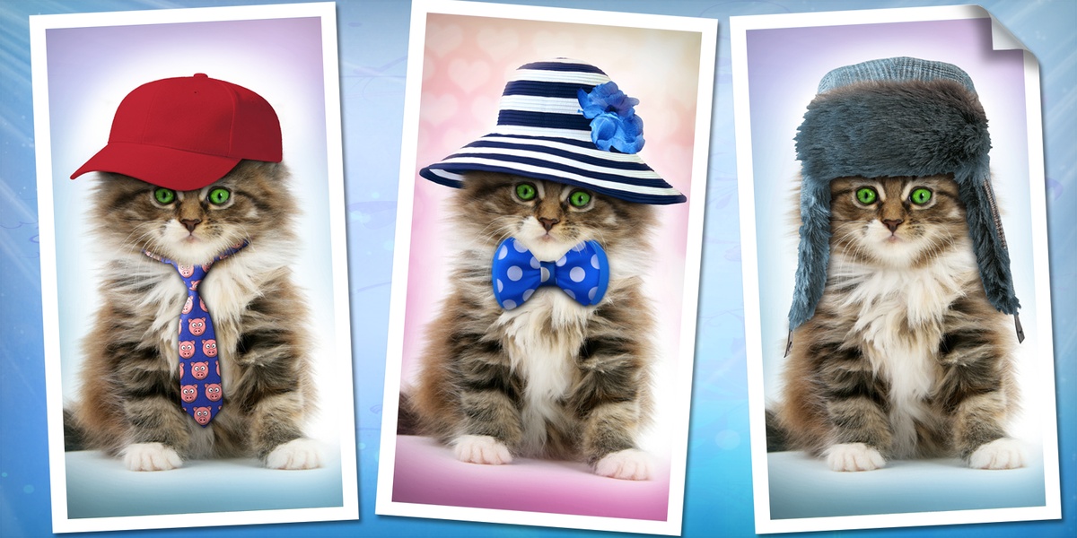 Purring Cats - Preview 1