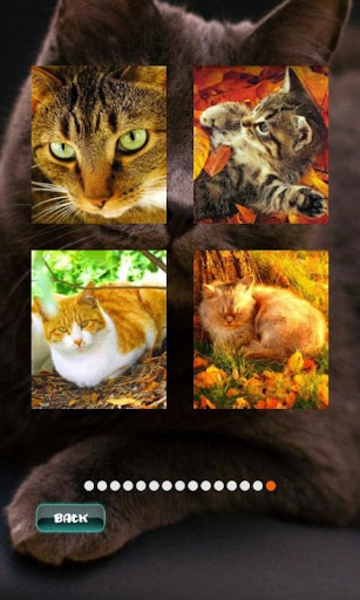 Cat Puzzles - Preview 7