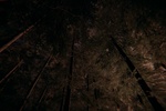 In The Woods screenshot 7