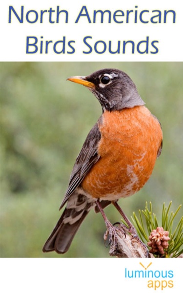 North American Birds Sounds - Preview 24