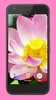 Blooming Lotus Video Wallpaper screenshot 2