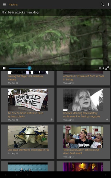 WP Video - Preview 2