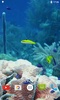 Marine Aquarium Live Wallpaper screenshot 2