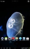 Jellyfish Live Wallpaper screenshot 3