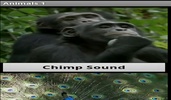 Animal Sounds App screenshot 4