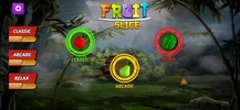 Fruit Slice screenshot 11