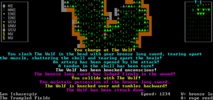 Dwarf Fortress screenshot 3