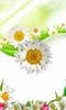 Sun Flower Clock Live Wallpaper screenshot 2