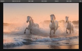 Luminar screenshot 3