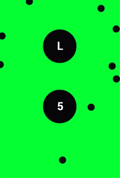 rl - Preview 2