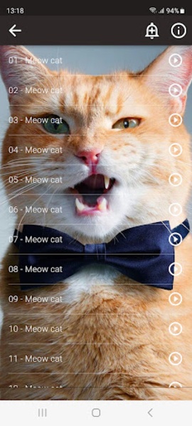 Cats sounds - Preview 3