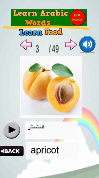 Learn Arabic Words - Preview 1