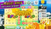 Bingo Craze screenshot 2