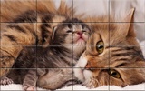 Cats Puzzle screenshot 2