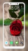 Rose Wallpapers screenshot 4