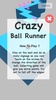 Crazy Ball Runner screenshot 8