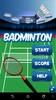 Badminton Champion screenshot 8