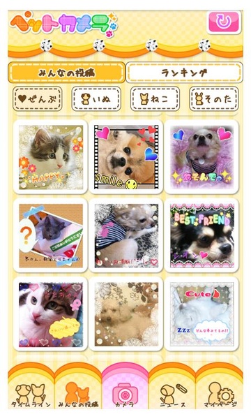 Petcamera - Preview 3