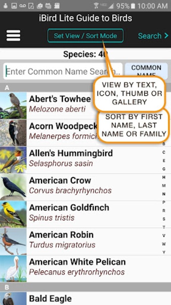iBird Lite - Preview 19