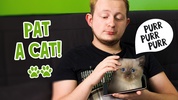 Pat a cat screenshot 3