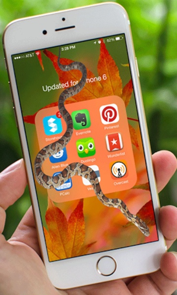 Snake Screen Terrible Joke - Preview 3