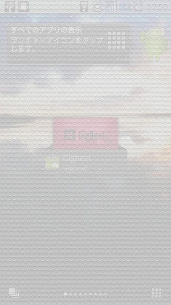Privacy Filter(Trial) - Preview 3