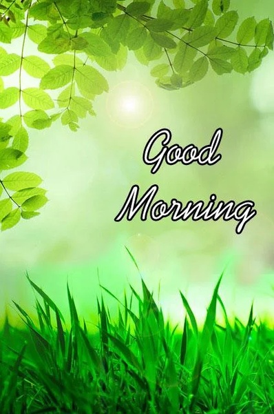 Good Morning Images - Preview 8