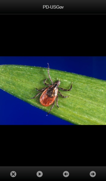 smart Microscope Lite - Preview 8