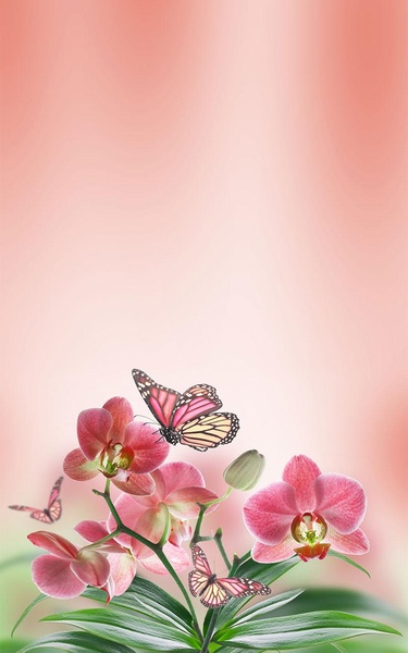 Butterfly Live Wallpaper - Preview 3