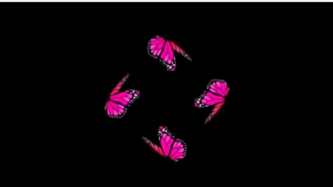 Holapex Hologram Video Creator - Preview 6