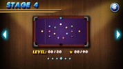 Pocket Pool Pro screenshot 1